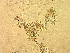  ( - 543MEE-SAR-BE5.1)  @11 [ ] Copyright (2009) Unspecified Natural Resources Canada