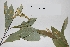  ( - 701ME-SA-ZM50.1)  @11 [ ] Copyright (2009) Unspecified Natural Resources Canada