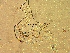  ( - 701ME-SA-ZM50.1)  @11 [ ] Copyright (2009) Unspecified Natural Resources Canada