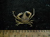  (Rochinia gracilipes - UNMDP MEJ 013)  @14 [ ] CreativeCommons - Attribution Non-Commercial Share-Alike (2014) Unspecified Laboratorio de Zoología de Invertebrados