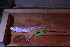  ( - CMGG-2011-201)  @11 [ ] CreativeCommons - Attribution Non-Commercial Share-Alike (2013) CMGG CMGG