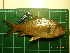  ( - CMGG-2011-282)  @11 [ ] CreativeCommons - Attribution Non-Commercial Share-Alike (2013) CMGG CMGG