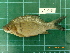  ( - CMGG-2012-030)  @11 [ ] CreativeCommons - Attribution Non-Commercial Share-Alike (2013) CMGG CMGG