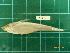  ( - CMGG-2012-041)  @11 [ ] CreativeCommons - Attribution Non-Commercial Share-Alike (2013) CMGG CMGG