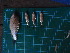  ( - CMGG-2012-909)  @11 [ ] CreativeCommons - Attribution Non-Commercial Share-Alike (2015) CMGG CMGG