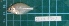  ( - CMGG-2013-1471)  @11 [ ] CreativeCommons - Attribution Non-Commercial Share-Alike (2015) CMGG CMGG