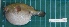  ( - CMGG-2013-1493)  @11 [ ] CreativeCommons - Attribution Non-Commercial Share-Alike (2015) CMGG CMGG