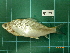  ( - CMGG-2012-359)  @13 [ ] CreativeCommons - Attribution Non-Commercial Share-Alike (2013) CMGG CMGG