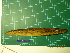  ( - CMGG-2011-299)  @12 [ ] CreativeCommons - Attribution Non-Commercial (2013) CMGG CMGG