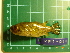  ( - CMGG-2011-379)  @11 [ ] CreativeCommons - Attribution Non-Commercial Share-Alike (2015) CMGG CMGG