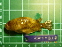  ( - CMGG-2011-381)  @12 [ ] CreativeCommons - Attribution Non-Commercial Share-Alike (2015) CMGG CMGG