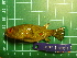  ( - CMGG-2011-380)  @12 [ ] CreativeCommons - Attribution Non-Commercial (2013) CMGG CMGG