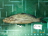  ( - CMGG-2012-402)  @14 [ ] CreativeCommons - Attribution Non-Commercial Share-Alike (2013) CMGG CMGG