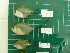  ( - CMGG-2012-256)  @13 [ ] CreativeCommons - Attribution Non-Commercial (2013) CMGG CMGG