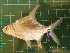  ( - CMGG-2011-434)  @11 [ ] CreativeCommons - Attribution Non-Commercial Share-Alike (2015) CMGG CMGG