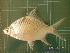  ( - CMGG-2011-580)  @13 [ ] CreativeCommons - Attribution Non-Commercial Share-Alike (2015) CMGG CMGG