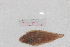  ( - BD270418 Cynoglossus cynoglossus)  @11 [ ] Copyright (2019) Unspecified Ho Chi Minh University of Science