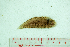  ( - CaT-031018-Cyno.punticeps 3)  @11 [ ] Copyright (2018) Unspecified Ho Chi Minh University of Science