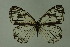  ( - DNAwthmel 145)  @13 [ ] Copyright (2009) Unspecified Unspecified