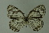  ( - DNAwthmel 145)  @13 [ ] Copyright (2009) Unspecified Unspecified