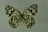  ( - DNAwthmel 153)  @13 [ ] Copyright (2009) Unspecified Unspecified