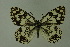  ( - DNAwthmel 154)  @14 [ ] Copyright (2009) Unspecified Unspecified