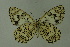  ( - DNAwthmel 154)  @14 [ ] Copyright (2009) Unspecified Unspecified