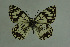  ( - DNAwthmel 155)  @14 [ ] Copyright (2009) Unspecified Unspecified