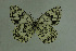  ( - DNAwthmel 155)  @14 [ ] Copyright (2009) Unspecified Unspecified