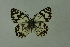  ( - DNAwthmel 156)  @14 [ ] Copyright (2009) Unspecified Unspecified