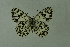  ( - DNAwthmel 156)  @13 [ ] Copyright (2009) Unspecified Unspecified
