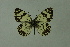  ( - DNAwthmel 157)  @14 [ ] Copyright (2009) Unspecified Unspecified
