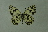  ( - DNAwthmel 157)  @13 [ ] Copyright (2009) Unspecified Unspecified