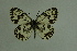  ( - DNAwthmel 158)  @14 [ ] Copyright (2009) Unspecified Unspecified