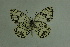  ( - DNAwthmel 158)  @13 [ ] Copyright (2009) Unspecified Unspecified