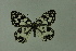  ( - DNAwthmel 170)  @13 [ ] Copyright (2009) Unspecified Unspecified