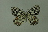  ( - DNAwthmel 170)  @13 [ ] Copyright (2009) Unspecified Unspecified