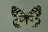  ( - DNAwthmel 171)  @13 [ ] Copyright (2009) Unspecified Unspecified