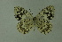  ( - DNAwthmel 183)  @14 [ ] Copyright (2009) Unspecified Unspecified