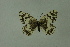  ( - DNAwthmel 212)  @14 [ ] Copyright (2009) Unspecified Unspecified