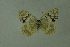  ( - DNAwthmel 213)  @14 [ ] Copyright (2009) Unspecified Unspecified