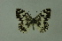  ( - DNAwthmel 216)  @13 [ ] Copyright (2009) Unspecified Unspecified