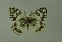  ( - DNAwthmel 217)  @13 [ ] Copyright (2009) Unspecified Unspecified