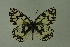  ( - DNAwthmel 220)  @14 [ ] Copyright (2009) Unspecified Unspecified