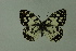  ( - DNAwthmel 225)  @13 [ ] Copyright (2009) Unspecified Unspecified
