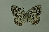  ( - DNAwthmel 225)  @13 [ ] Copyright (2009) Unspecified Unspecified