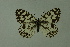  ( - DNAwthmel 226)  @13 [ ] Copyright (2009) Unspecified Unspecified