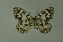  ( - DNAwthmel 226)  @13 [ ] Copyright (2009) Unspecified Unspecified