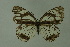  ( - DNAwemel 001)  @13 [ ] Copyright (2009) Unspecified Unspecified