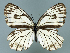  ( - GCB-M 1)  @13 [ ] Copyright (2009) Unspecified Unspecified
